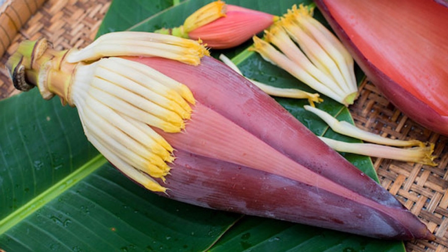 Bắp chuối