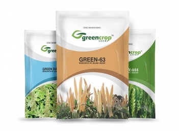 So sánh bao bì PVC và PE loại nào phù hợp hơn cho sản xuất thực phẩm