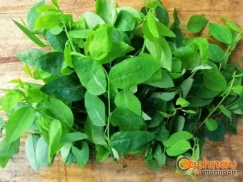 Rau ngót là rau gì? Thành phần dinh dưỡng và tác dụng của rau ngót - Món Ngon