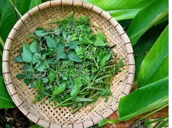 Cách nấu canh rau tập tàng ngọt mát